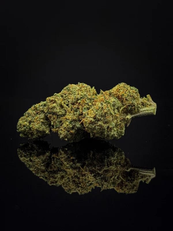 blueberry magic cbc fleur cbd puissante effet myrtille premium indoor achat fleur CBC