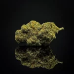 Strawberry Banana Gelato