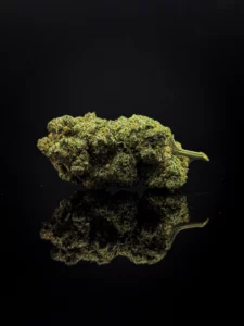 Meilleure fleur CBC Wedding Cake indoor 25% Nature Lab