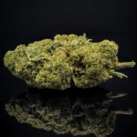 Billy Kimber OG Kush