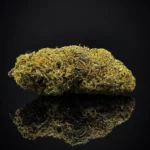 Critical+