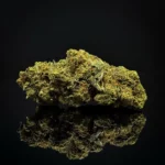 Gorilla Glue