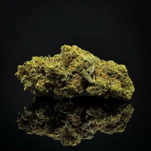 Gorilla Glue