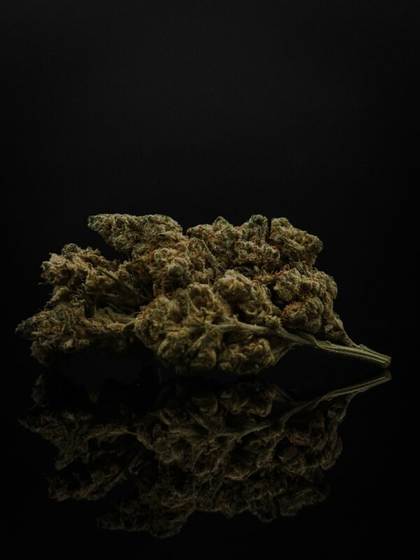 Gorilla Glue cbc fleur cbd puissante effet sucré fruité premium indoor achat fleur CBC