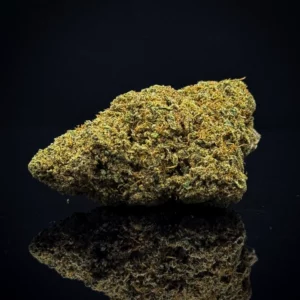 AK 47