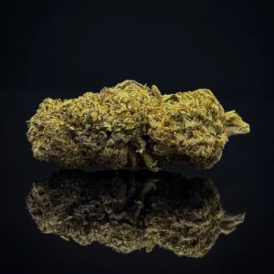 Lemon Gelato