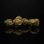 Purple Runtz