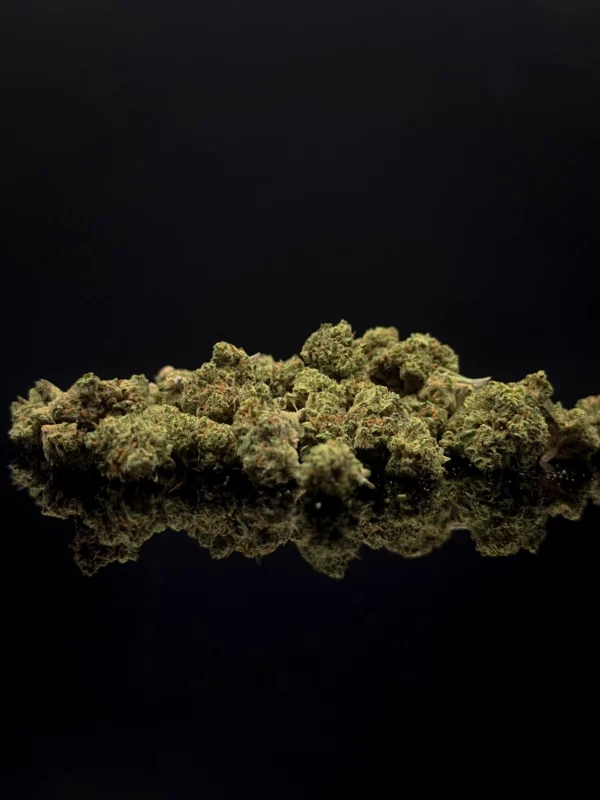 Mini Buds Popcorn CBD Suisse — Fleur CBD Pas Cher Puissante Meilleur Rapport Qualité Prix Les Mini Buds Popcorn CBD Suisse sont aujourd’hui l’une des meilleures options pour acheter du CBD pas cher sans sacrifier la qualité. Issues de cultures suisses reconnues pour leur rigueur, ces fleurs CBD en petits buds offrent une qualité premium à prix réduit, idéale pour les consommateurs réguliers. Disponibles à partir de 10g, ces mini buds représentent le meilleur rapport qualité prix CBD, parfait pour ceux qui recherchent une fleur CBD efficace, économique et accessible. Mini buds CBD — même qualité, prix réduit Les mini buds, aussi appelés popcorn, sont simplement des têtes plus petites issues des mêmes plants que les grosses fleurs. Elles conservent donc : les mêmes cannabinoïdes les mêmes arômes la même efficacité La seule différence se situe au niveau du calibre, ce qui permet de proposer une fleur CBD moins chère, sans compromis sur l’expérience. Origine Suisse — qualité et traçabilité Ces mini buds proviennent de cultures suisses, reconnues pour leur qualité premium et leur respect des normes européennes. La Suisse est aujourd’hui une référence dans le domaine du chanvre, garantissant : des fleurs propres et contrôlées une culture maîtrisée une qualité constante Une fleur CBD puissante avec effet accessible Malgré leur petit format, ces mini buds offrent un ressenti bien présent, idéal pour les consommateurs recherchant un CBD qui fait effet à petit prix. C’est une solution parfaite pour une consommation régulière, sans exploser son budget. Plusieurs saveurs disponibles 🍓 Strawberry Profil fruité et sucré, avec des notes de fraise gourmandes et agréables 🌿 Special Sauce Saveur plus complexe, légèrement terreuse avec une touche douce et équilibrée 🌲 OG Kush Profil kush classique, avec des notes boisées, terreuses et puissantes Format économique à partir de 10g Disponible en 10g et plus, ce format permet de profiter d’un CBD pas cher en quantité, idéal pour : usage quotidien gros consommateurs rapport qualité prix optimal Pourquoi choisir les Mini Buds Popcorn CBD Suisse Les Mini Buds CBD Suisse sont le choix idéal pour ceux qui recherchent : une fleur CBD pas chère une bonne qualité un effet présent un format économique Elles s’imposent comme l’une des meilleures alternatives CBD pour consommer malin, avec un excellent compromis entre prix et efficacité.