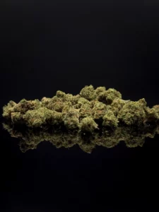 Mini Buds CBC : l&rsquo;avant-goût premium des fleurs CBC haut de gamme