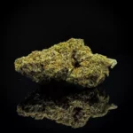 NYC Diesel
