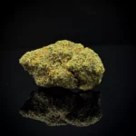 Trump OG