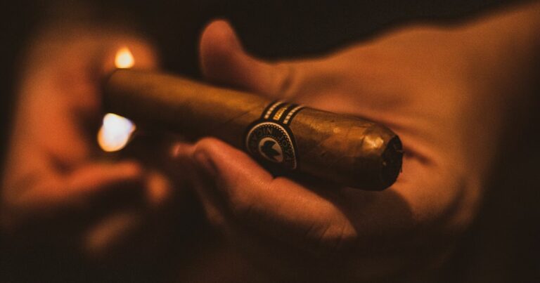 Backwoods interdits en France : que dit la loi (2026) et par quoi les remplacer