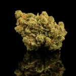 Lemon Haze