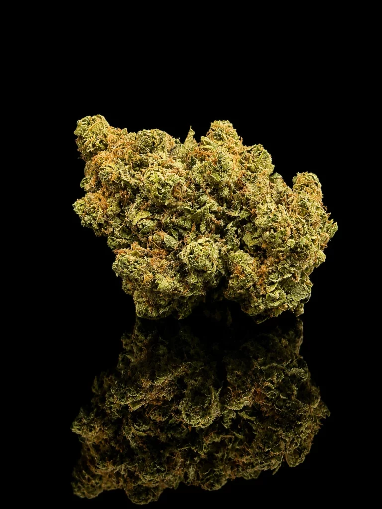 Lemon Haze — fleur CBC légale (THC < 0,3 %) chez Nature Lab