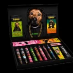 Coffret XXL G-Rollz Pets Rock
