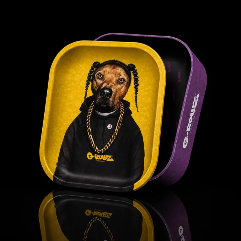 Set Plateau + Couvercle Pets Rock G-Rollz