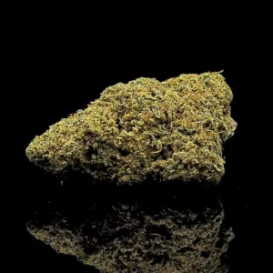 AK 47