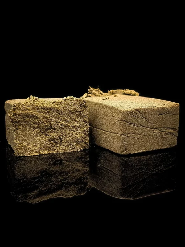 Dry Malabar - fond noir studio, boutique Nature Lab