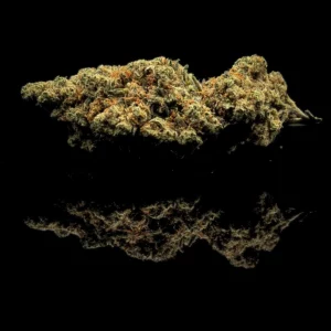Amnesia Haze