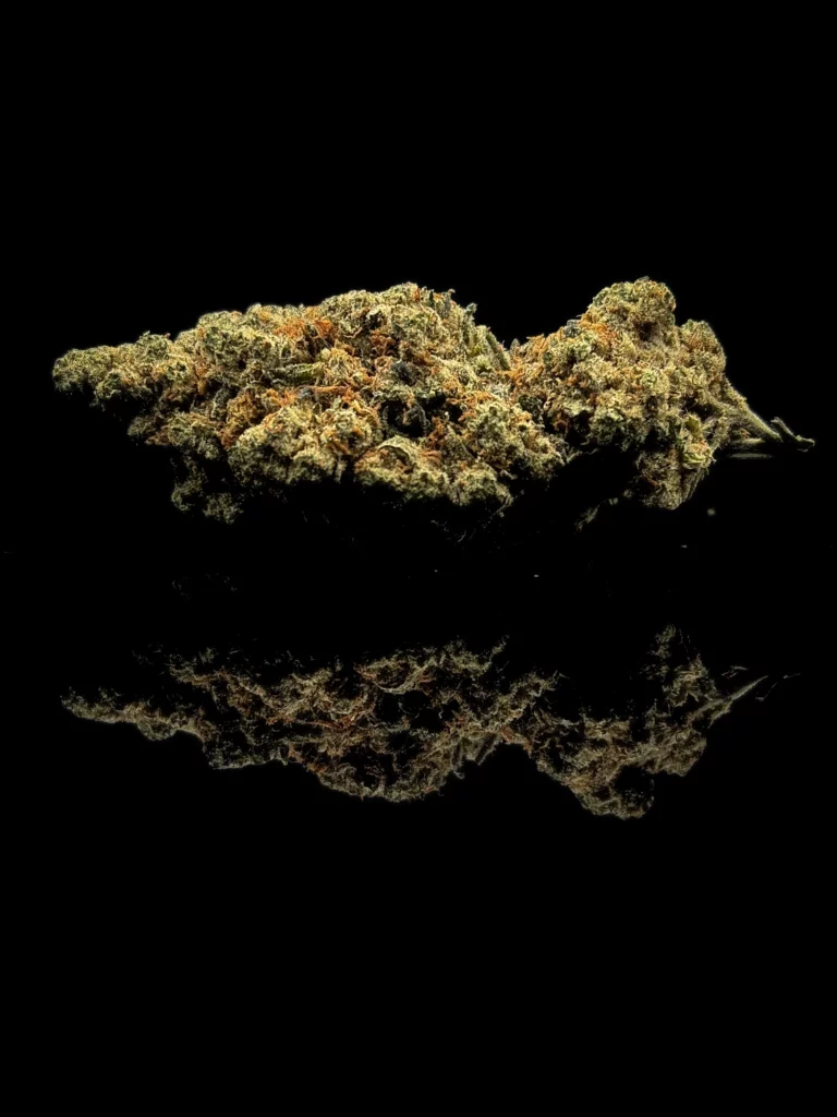 Fleur CBC Amnesia Haze - fond noir studio, boutique Nature Lab