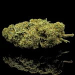Billy Kimber OG Kush