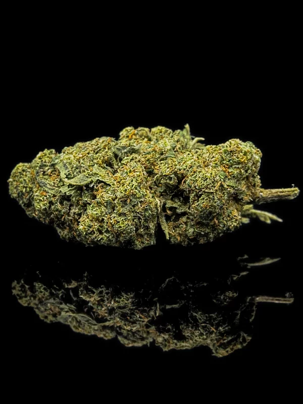 Fleur CBC Billy Kimber OG Kush - tête indoor premium sur fond noir