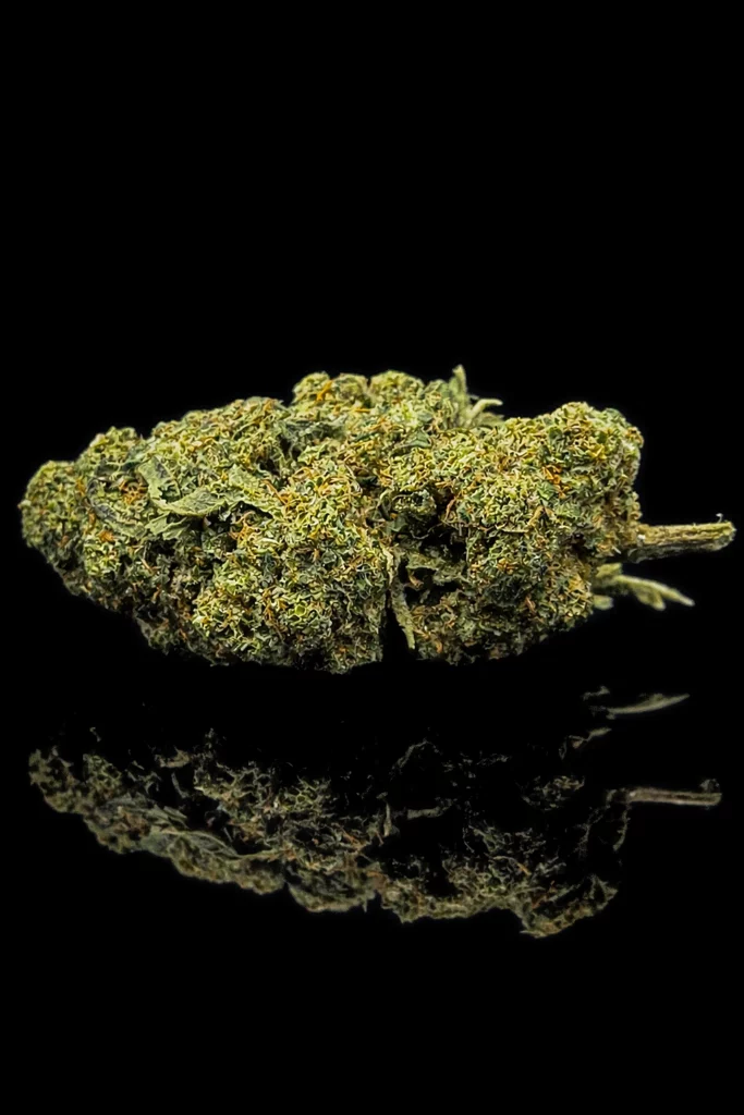 Fleur CBC Billy Kimber OG Kush - tête indoor premium sur fond noir