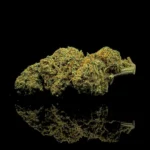 Blueberry Magic