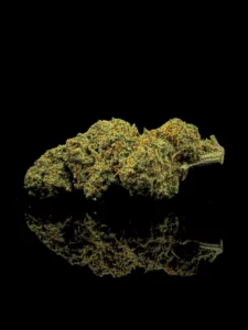 Blueberry Magic