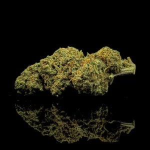 Blueberry Magic