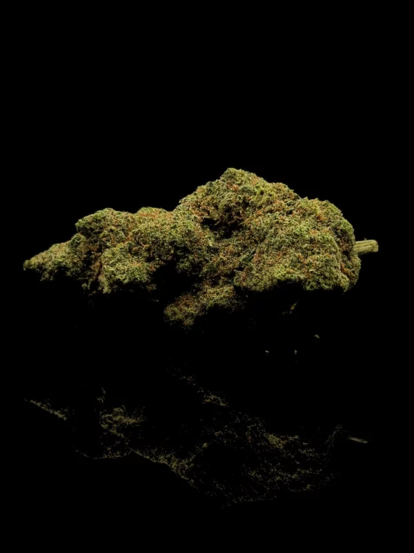 Fleur CBC Cali Runtz - fond noir studio, boutique Nature Lab