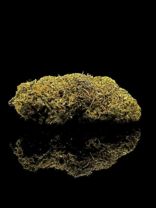 Fleur CBC Critical+ - tête indoor premium sur fond noir