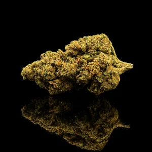 Gorilla Glue