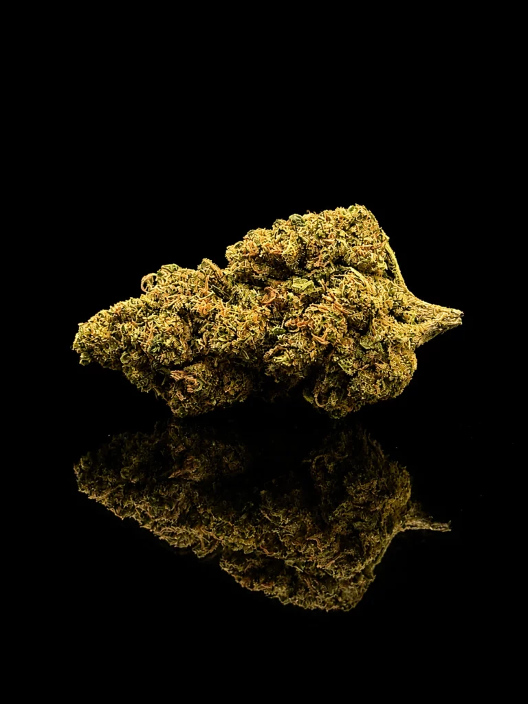 Fleur CBC Gorilla Glue - tête indoor premium sur fond noir