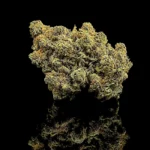 Lemon Haze - fond noir studio, boutique Nature Lab