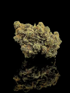 Lemon Haze
