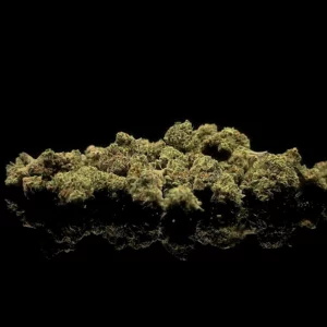 Mini Buds CBC