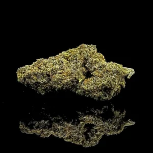 NYC Diesel