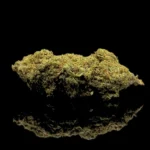 Orange Zkittlez