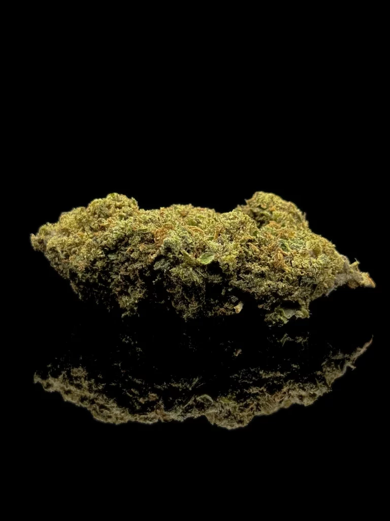 Fleur CBC Orange Zkittlez - tête indoor premium sur fond noir