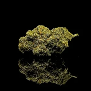 Strawberry Banana Gelato