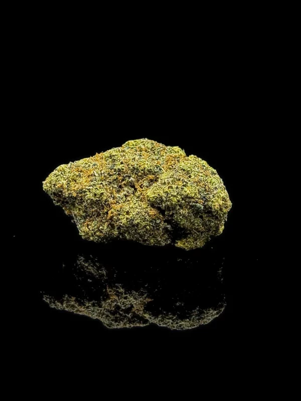 Fleur CBC Trump OG - tête indoor premium sur fond noir