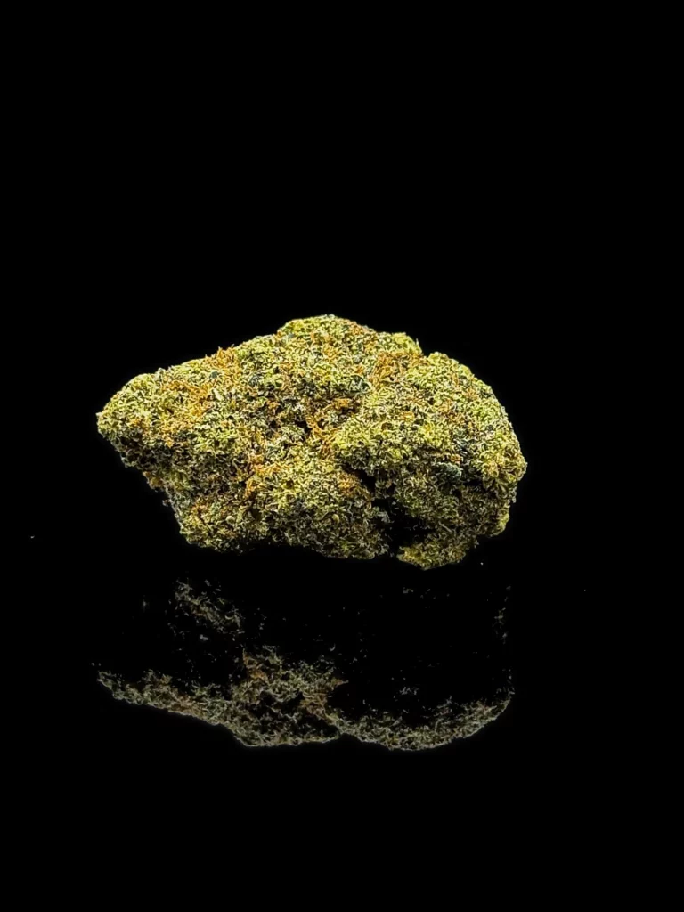 Fleur CBC Trump OG - tête indoor premium sur fond noir