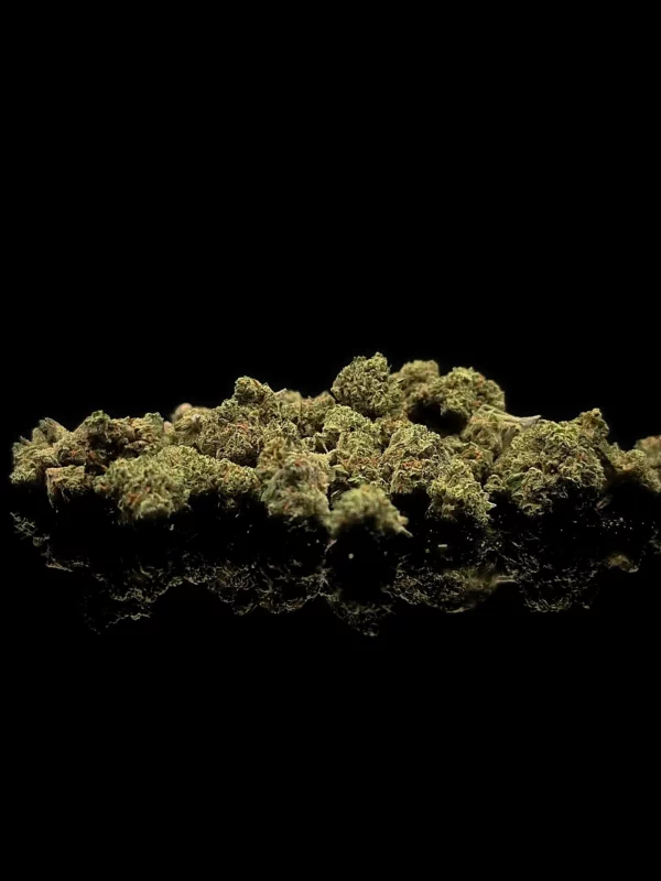 Mini Buds - fond noir studio, boutique Nature Lab