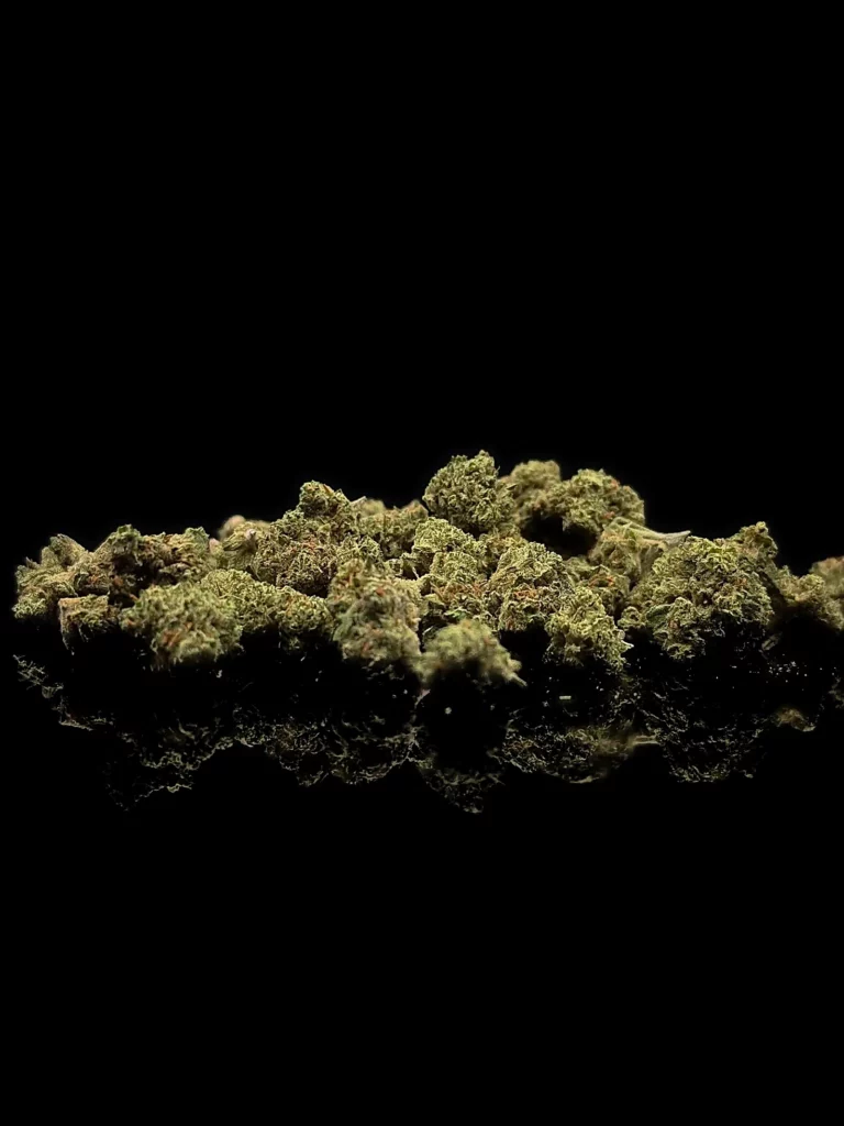 Mini Buds - fond noir studio, boutique Nature Lab