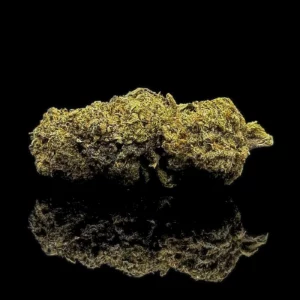 Lemon Gelato
