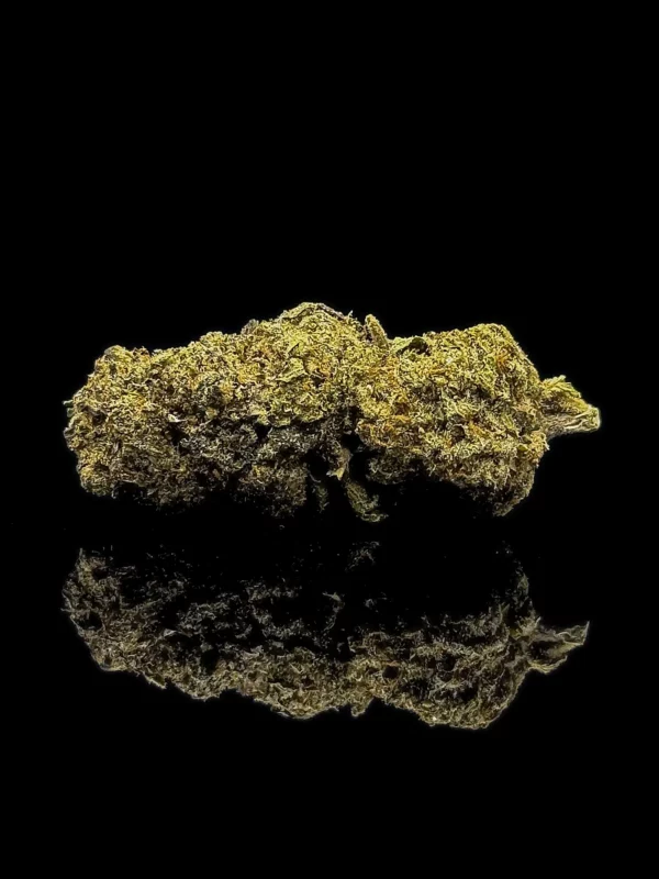 Lemon Gelato - fond noir studio, boutique Nature Lab
