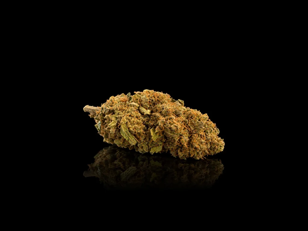 Fleur CBD Blueberry Muffin : tête compacte vert olive aux pistils orange et trichomes dorés, sur fond noir