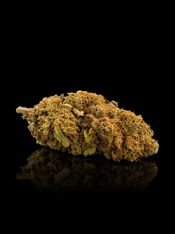 Fleur CBD Blueberry Muffin : tête compacte vert olive aux pistils orange et trichomes dorés, sur fond noir