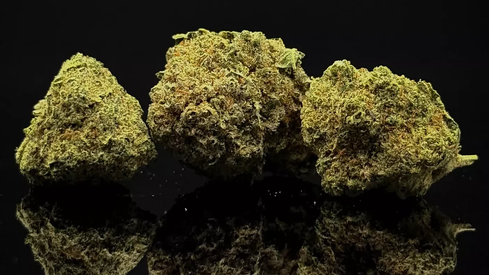 Fleur CBD indoor, outdoor ou greenhouse : les vraies différences (guide 2026)